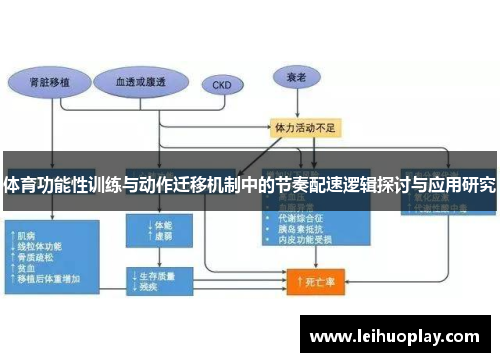 体育功能性训练与动作迁移机制中的节奏配速逻辑探讨与应用研究
